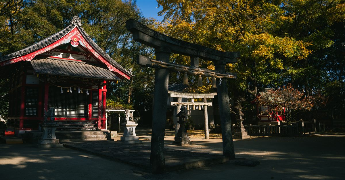 Japanese shrine with torii gate and autumn foliage